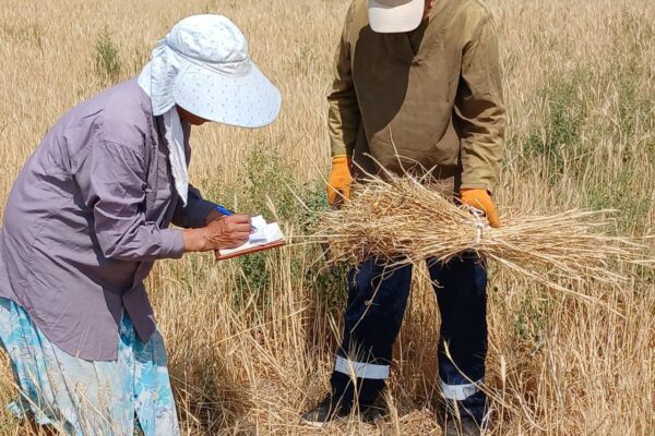 056b5732-1793-4cc2-88ad-4c944955a90a