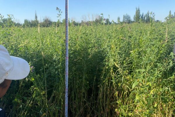 9626c0c6-b99e-4dd1-96e8-c41626d8d94b