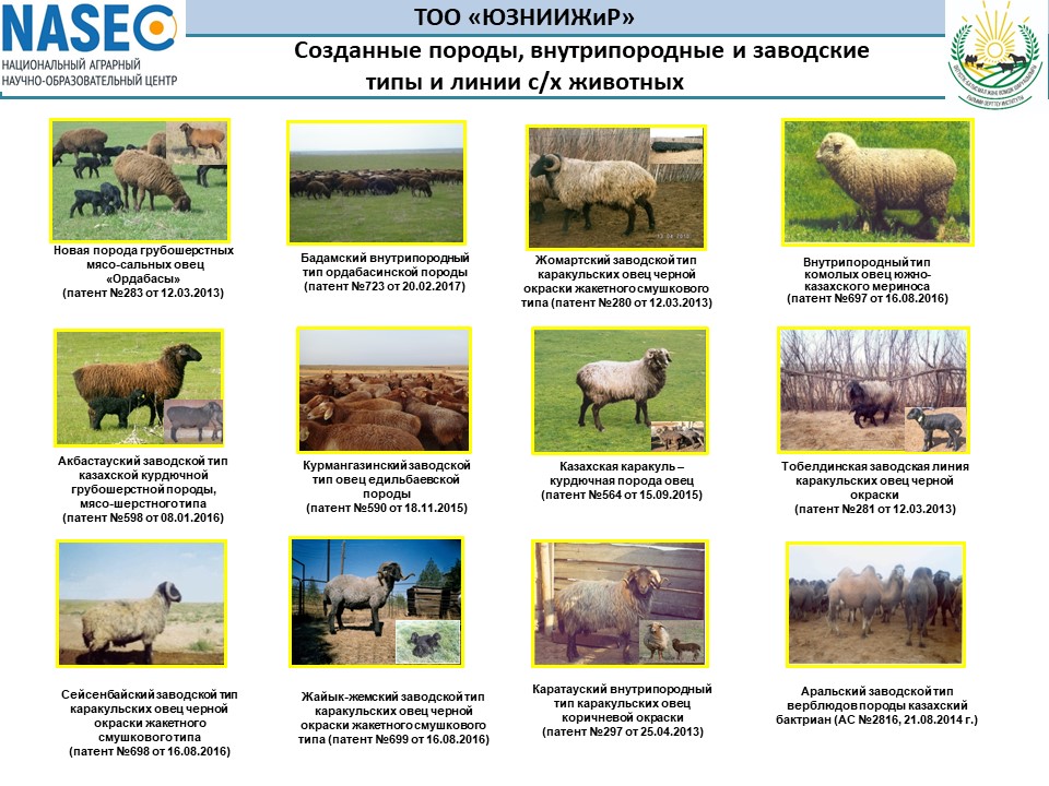 Буклет селекционных достижений по животноводству