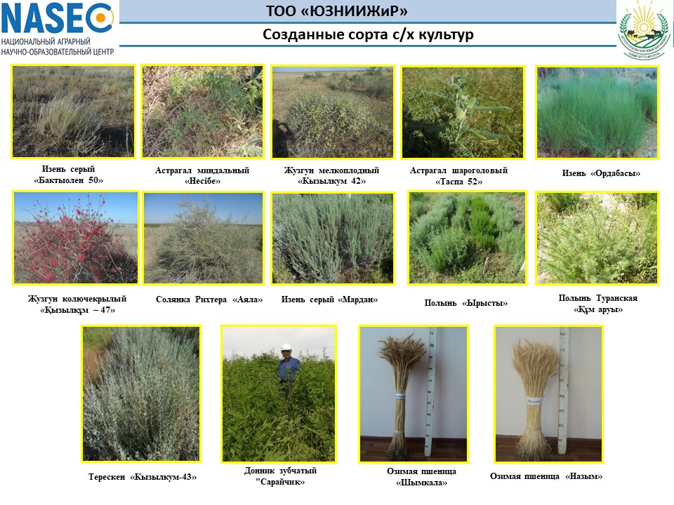 Буклет селекционных достижений растениеводство