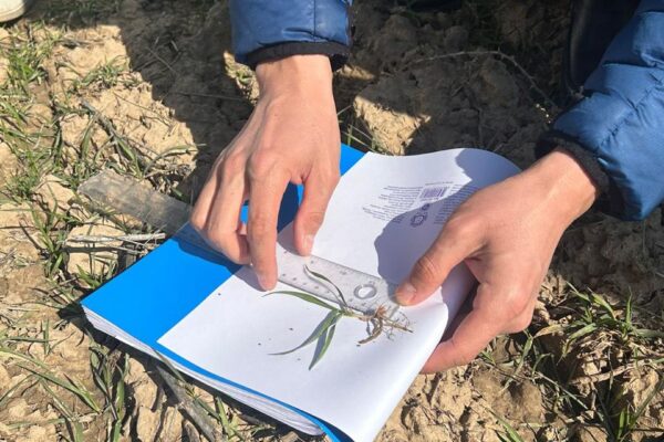 ae7656f8-ae46-457c-8111-05764874f226