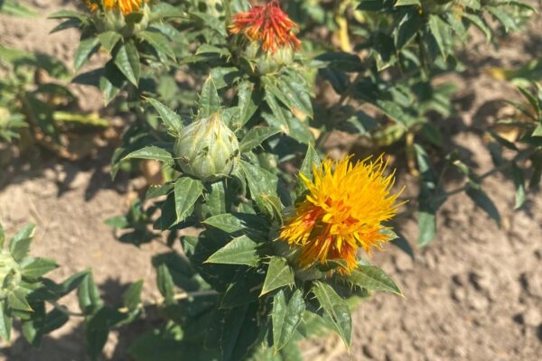 b5737c95-4094-4734-8e27-0bbc8cbe46f4