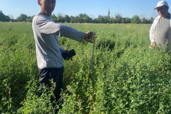 e042616f-d179-489e-a800-c3c3920e53bf