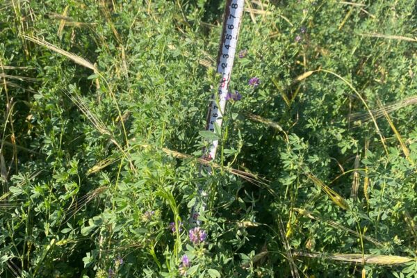 ebdf5c79-2b91-4722-abec-5db3869a1215