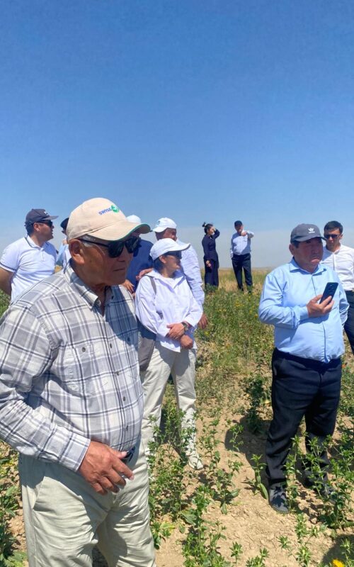 f383c52b-3baf-4766-a9af-ba0af659f7aa