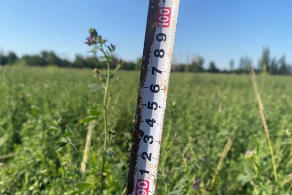 f45a2af7-a13d-40a8-bbed-885b9c14e8df