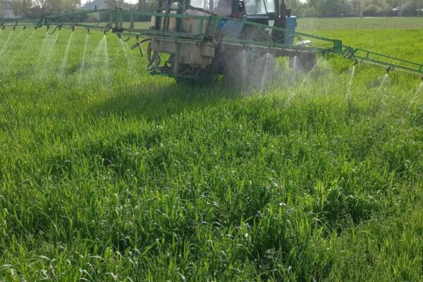 f7f713a6-1f25-4f71-ba42-6ebaabffbea7